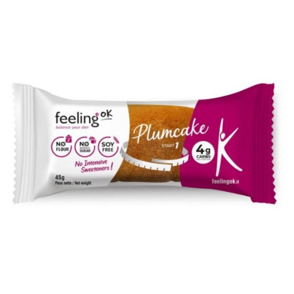 feeling-ok-plum-cake-van-slash-li45g