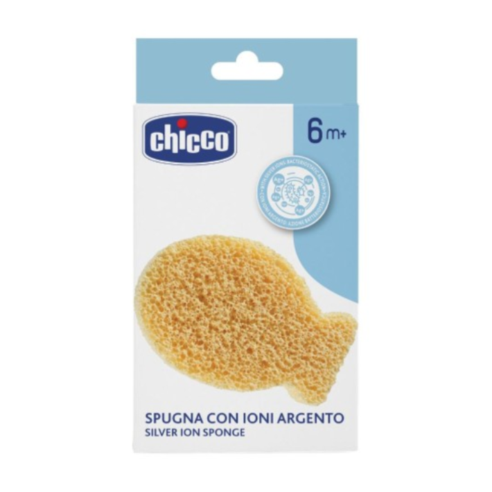ch-spugna-ioni-argento